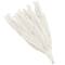 35" Natural Dried Palm Leaf Bundle with Feather-Inspired Stems